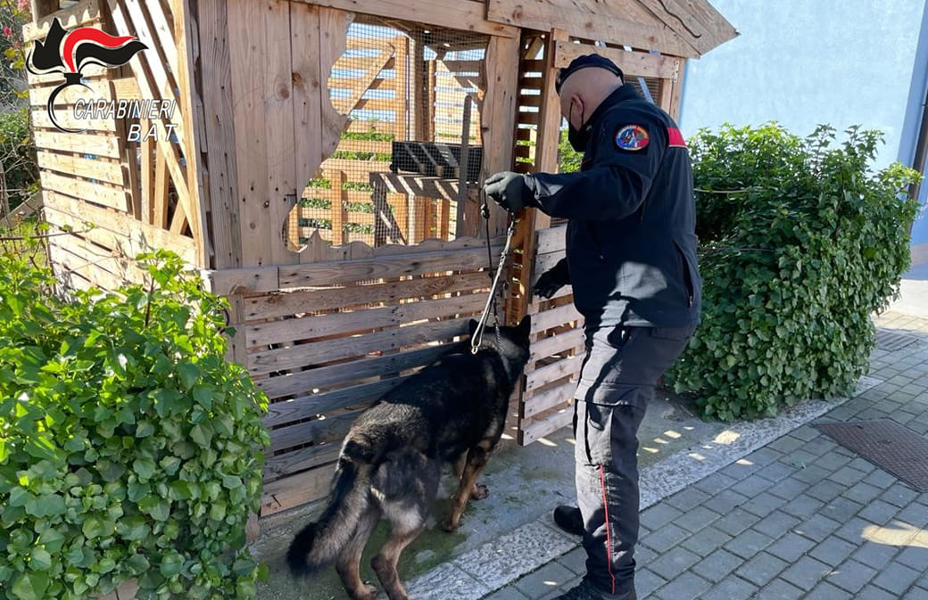 cronaca mar carabinieri controlli 03