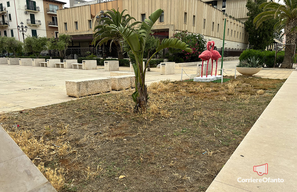 cronaca mar hub modulare 01