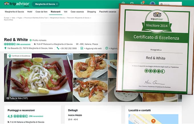 tripadvisor