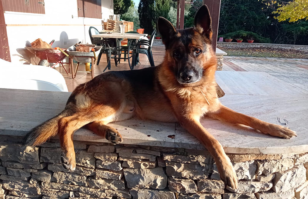 sociale tri storie amore amicizia 02