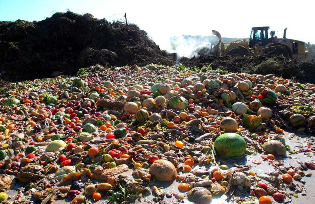 temi spreco alimentare