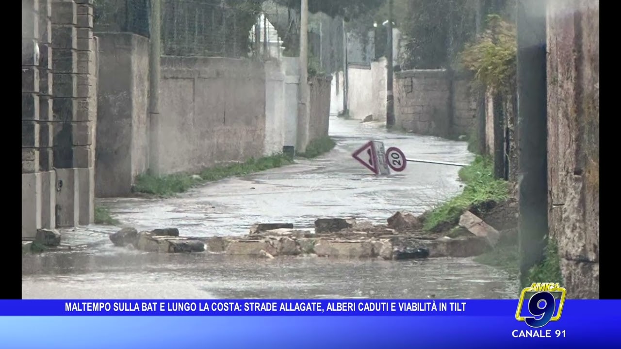 Maltempo nella BAT, in particolare lungo la costa: strade allagate, alberi caduti e viabilità in tilt